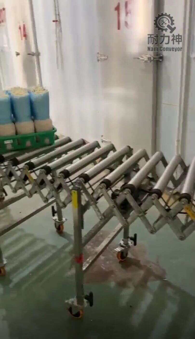 Enoki mushroom factory warehouse: multi-wedge belt powered roller conveyor transferring finished production baskets - 3